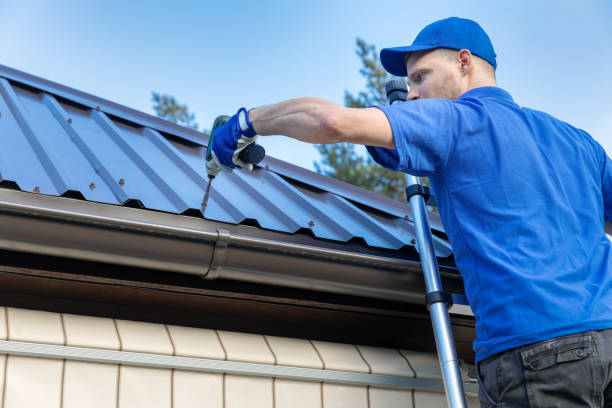 Best Roof Moss and Algae Removal  in Huntington, VA
